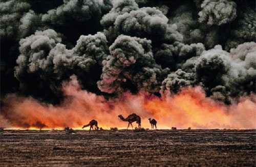 Cammelli e giacimenti di petrolio, Kuwait, 1991 Camel and oil fields, Kuwait, 1991 ©Steve McCurry