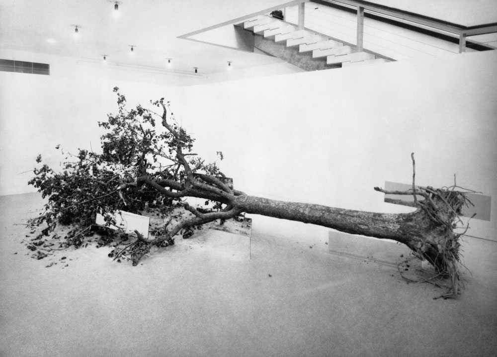 Robert Smithson, Dead Tree, 1969, reconstructed 2015. Tree, mirrors, dimensions variable 